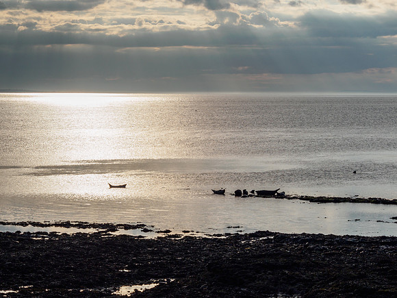 20160723-Portgordon-EM520514