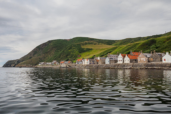 Crovie