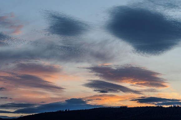 Brush Strokes