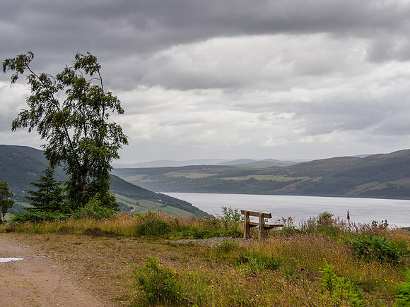 A Seat With a View