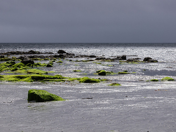 20140716-South Uist + Eriskay-R7164444