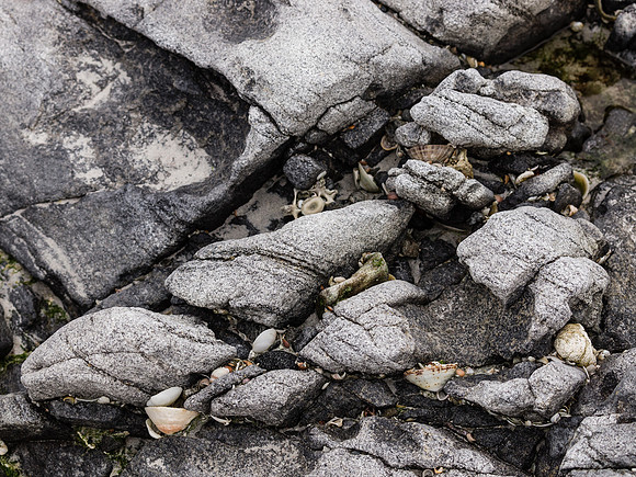 Rock Remains