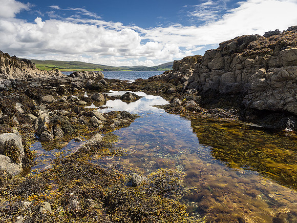 Rock Pool