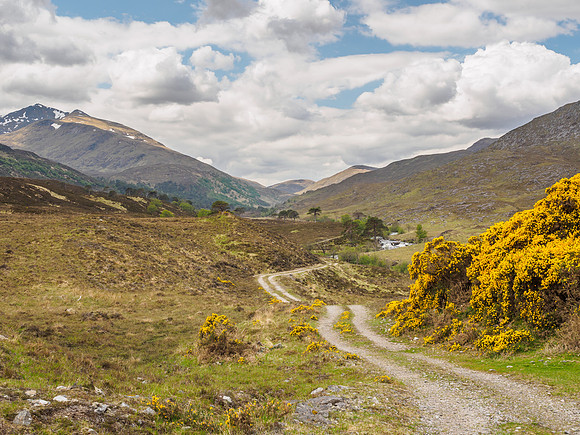 20160528-Glen Strathfarrar-EM520149