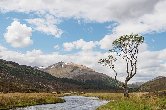 20160528-Glen Strathfarrar-EM520137