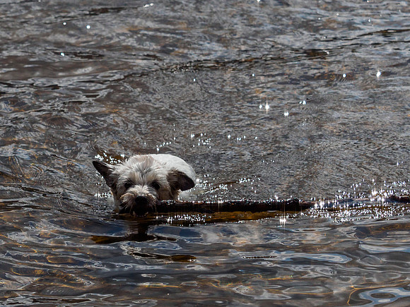 Mij in Loch Ness