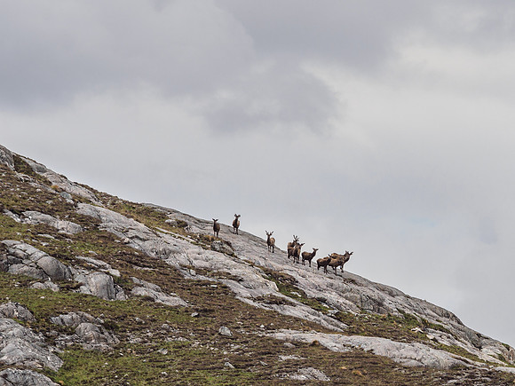 20160528-Glen Strathfarrar-EM520162