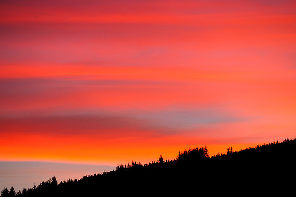 Sunset From the Back Garden 3