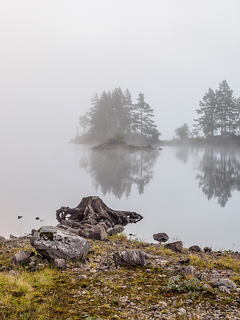 Misty Morning 3