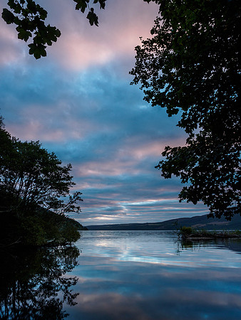 Urquhart Bay Wood Sunrise 2