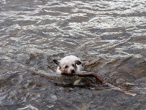 20150912-Urquhart Bay Wood-EM522897