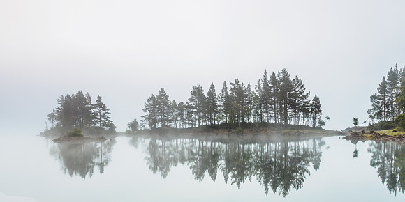Misty Morning 1