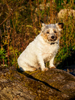 Mij Taking in the Sunset 1