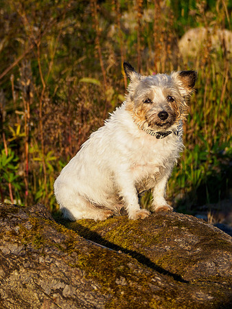 Mij Taking in the Sunset 1