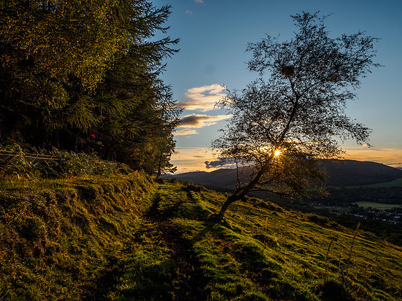 View From Borlum Wood 3