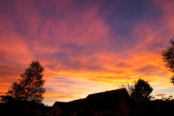 Sunset From the Back Garden 2
