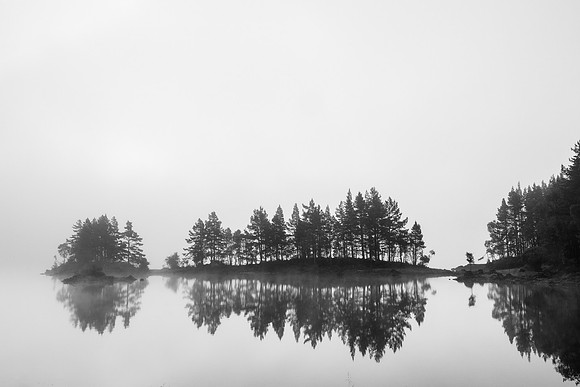Misty Morning 2