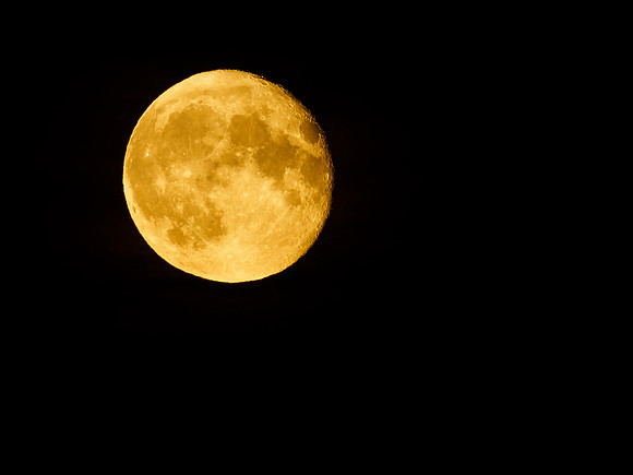 Yellow Moon 1