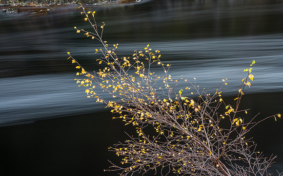 River Findhorn at Ardclach