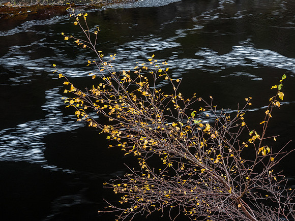 River Findhorn at Ardclach