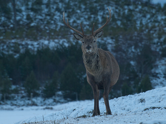 20110108-Mullardoch-P1080135