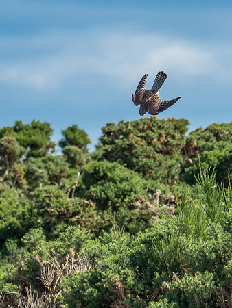 Incoming!