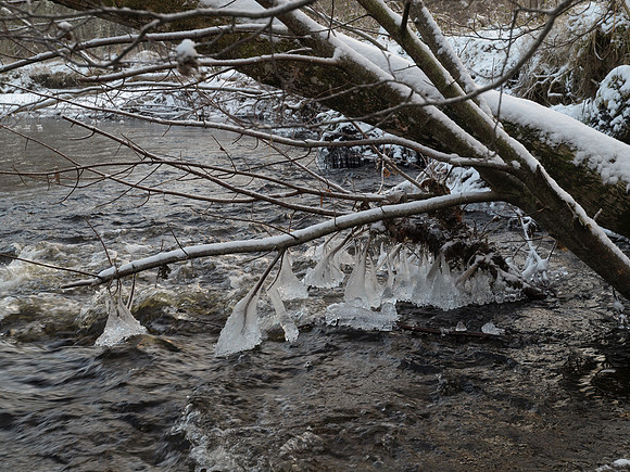 20110109-Coiltie-P1090195
