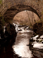 20110103-Dhivach-P1030075