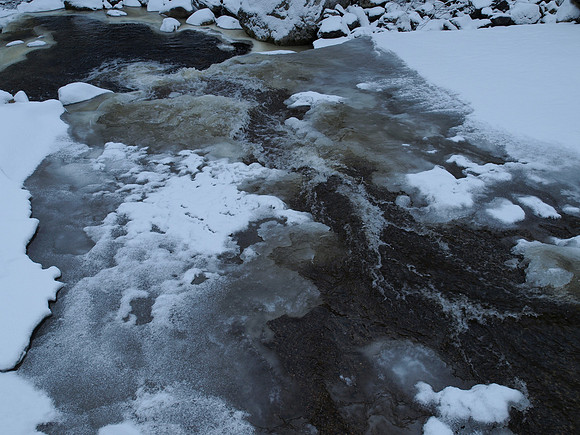 20110109-Coiltie-P1090158