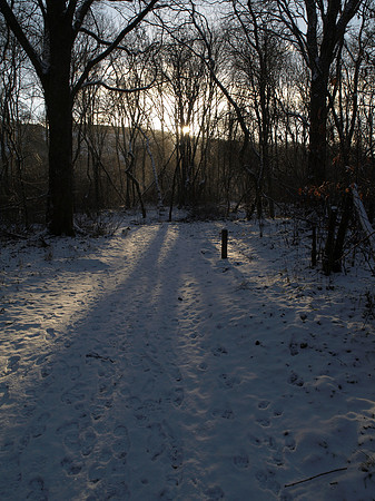 20110109-Coiltie-P1090179