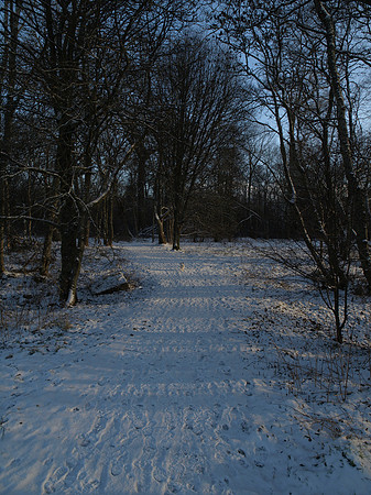 20110109-Coiltie-P1090175