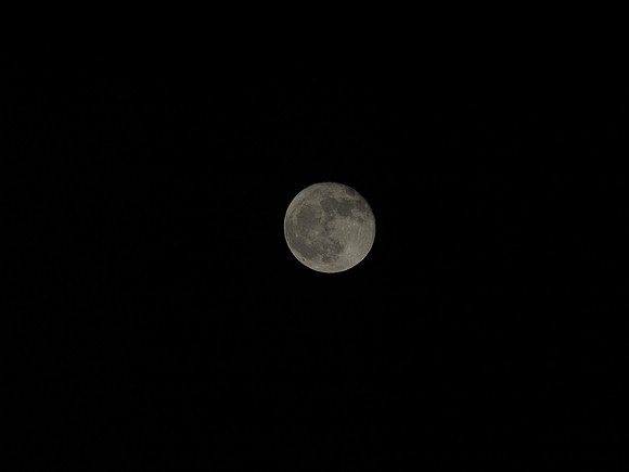 20110120-Moon-P1200216