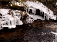 20110103-Dhivach-P1030067