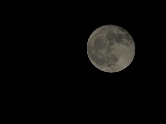 20110120-Moon-P1200216