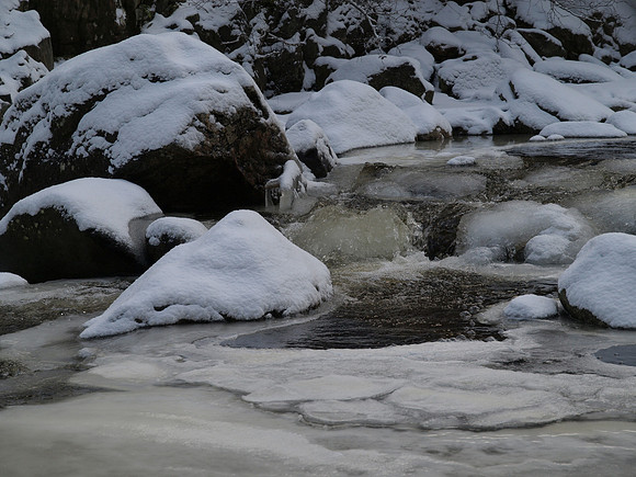 20110109-Coiltie-P1090168