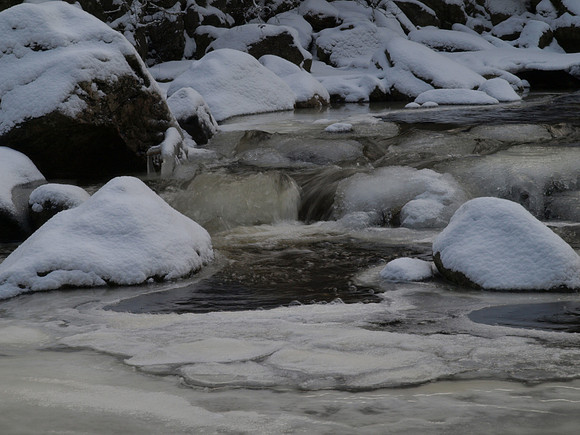 20110109-Coiltie-P1090166