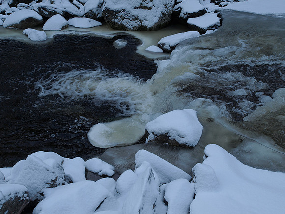 20110109-Coiltie-P1090154