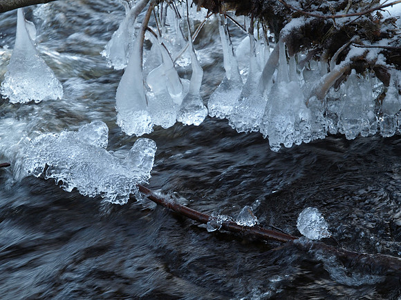 20110109-Coiltie-P1090187