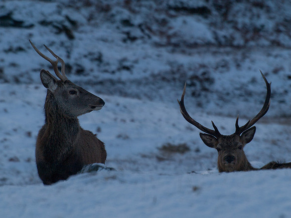 20110108-Mullardoch-P1080140