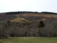 20110103-Dhivach-P1030069