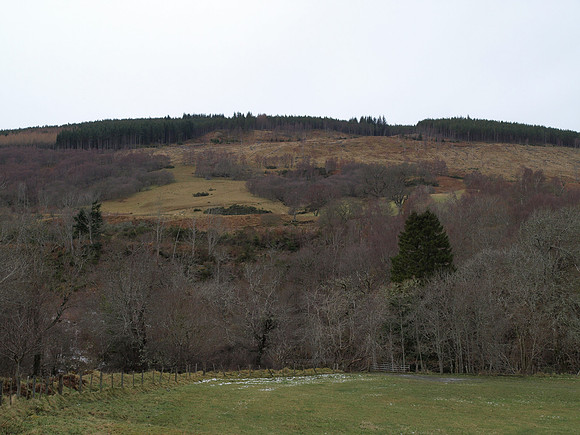 20110103-Dhivach-P1030069