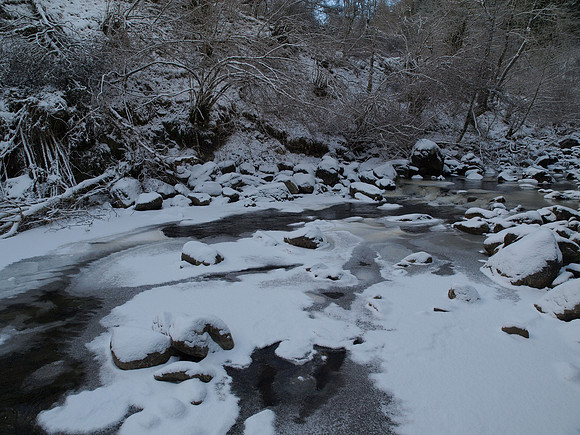 20110109-Coiltie-P1090162
