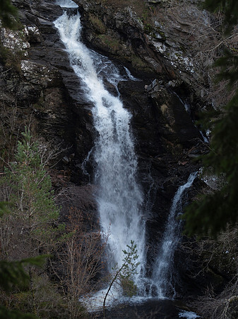 20110130-Corrimony-P1300339