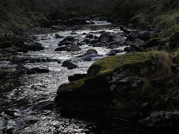 20110130-Corrimony-P1300313