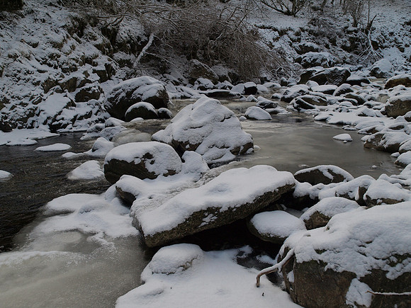 20110109-Coiltie-P1090163