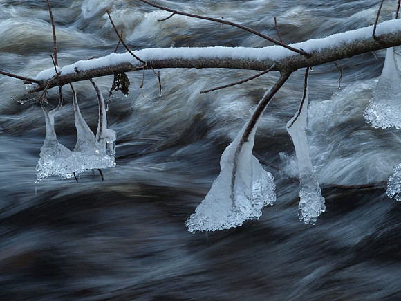 20110109-Coiltie-P1090190