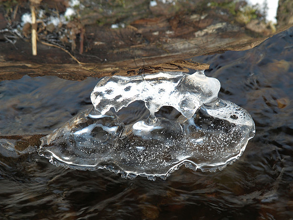 20110109-Coiltie-P1090183