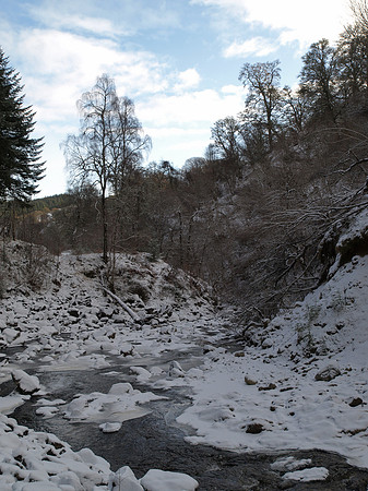 20110109-Coiltie-P1090171