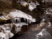 20110103-Dhivach-P1030064