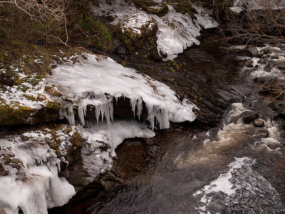 20110103-Dhivach-P1030064